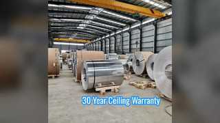 Duurzame aluminium plafondplaten 30 jaar garantie