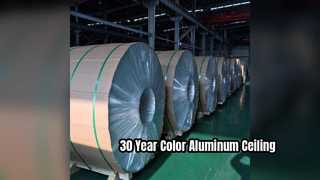3003 Aluminium plafondplaat 30 jaar kleur