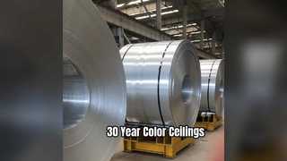 Duurzame aluminium plafondplaten, 30 jaar kleur