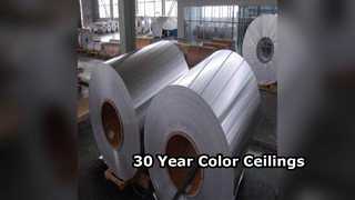 Duurzame aluminium plafondplaten, 30 jaar kleur